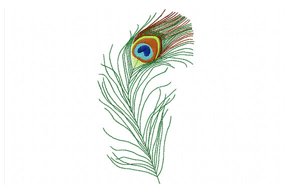 Colorful Peacock Feather: A Business Design Review