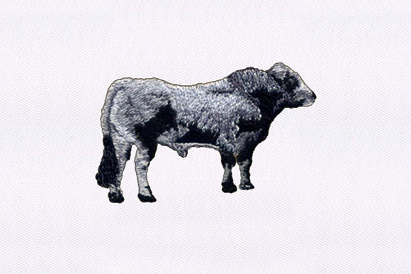 Gray and Black Cow: A Merch Design Review